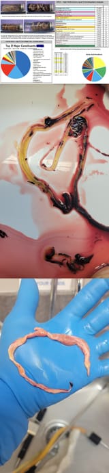 1746791385373774