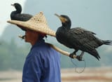 Man_with_cormorant_2