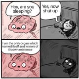 brain2