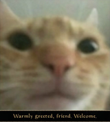 1654813382114