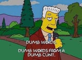 dumb words dumb cunt