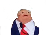 504