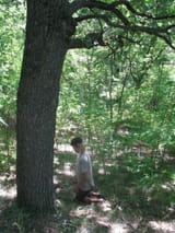 IMG_20250619_103658_465