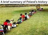 poland1647243031649