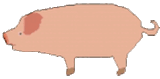 PIG-4x