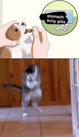 1000002887