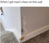 16392048202023