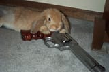 bun_gun
