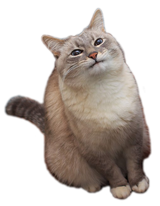 1741229409395