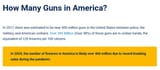 Screenshot 2025-06-19 at 02-14-10 How Many Guns are in the US 2024
