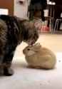 VID_20250602_101054_689_thumb.jpg