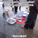 shqMTGR0oSniMfy_4Iok9Q4v8vg-1920