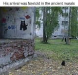 x his arrival