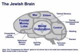 The Jewish Brain