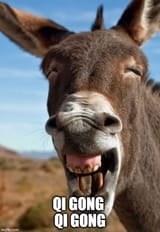 donkeychi