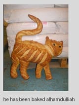 he has been baked