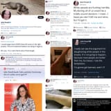 Julie Powell COVID-19 Vaccine Jab Vaxx Die-Off