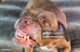 gettyimages-2135684397-170667a