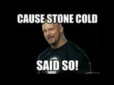 cause_stone_cold_said_so