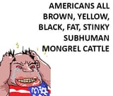 americans-in-a-nutshell