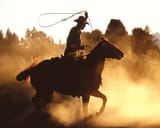 Screen_Shot_2018-09-04_at_7.24.51_am_1024x1024-3891201812