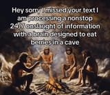 berrybrain
