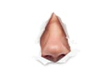 human-nose-sticks-out-hole-37522583