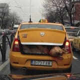 Meanwhile in Romania