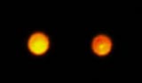 orbs