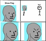 Flagfagging