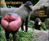 Boonteenth 01