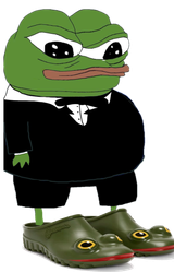 frog shoes