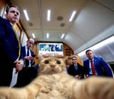 cat air force