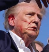 trumpear