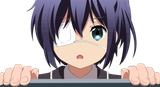 1000010588