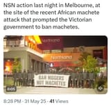 Ban Niggers, Not Machetes