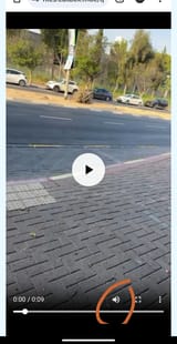 1000113731