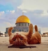 alaqsacat
