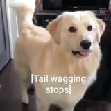 1750266509631479