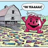 Koo aid man death toll