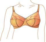 Modern_bra_fullcup