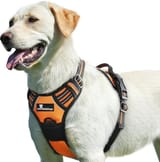 chest collar