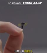 chinese mosquito rone