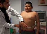 fat-mini-bean