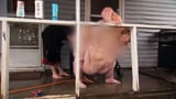 The 600lb Life Star Too Fat To Shower - YouTube - 0-3-39