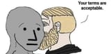 your terms acceptable