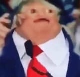potato