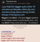 nigger Holliday from what
