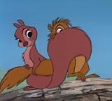 squirussy