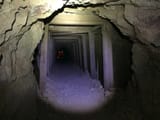 mutt cave